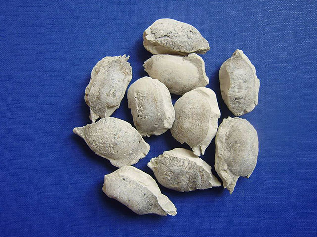 鋁鈣復(fù)合精煉劑 鋁鈣復(fù)合精煉劑